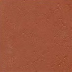 CW Coral (2 x 2)  (3 x 3)  (4 x 4)