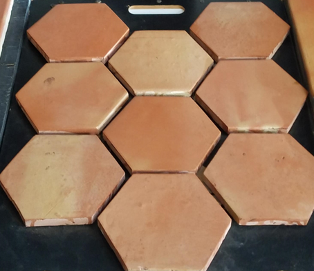 Saltillo San Hexagon 8 x 8