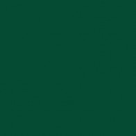 Clay Body Poblana Line, Solid Color Tile (Green)