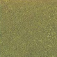 CW Palm (2 x 2)  (3 x 3)  (4 x 4)